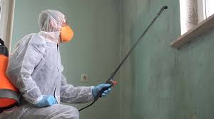 Best Industrial Mold Remediation in Buckhall, VA