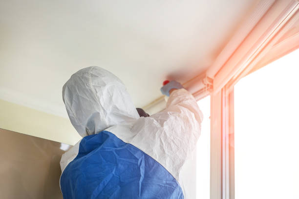 Best Mold Damage Restoration in Buckhall, VA